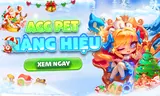 KHO ACC PET HÀNG HIỆU